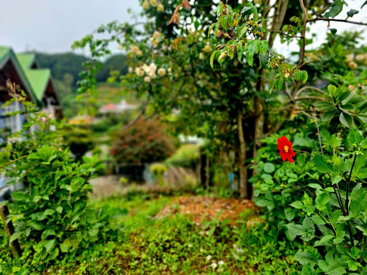 Haven Chalet Nuwara Eliya Eksteriør billede